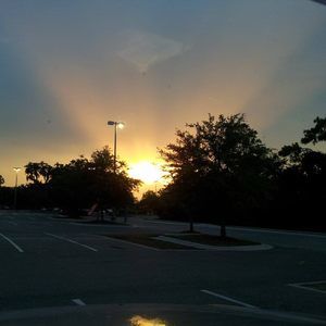 Meet your Posher, Hollie